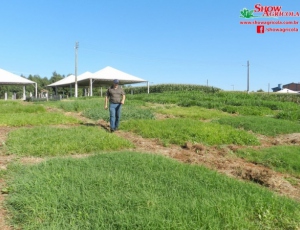 Secretaria Municipal de Agricultura de Palma Sola se prepara para o Show Agrícola 2014
