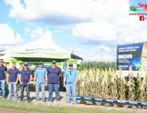 Show Agrícola recebe lançamentos de híbridos de milho Morgan